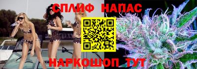 прущие грибы Славгород