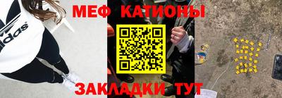 прущие грибы Славгород