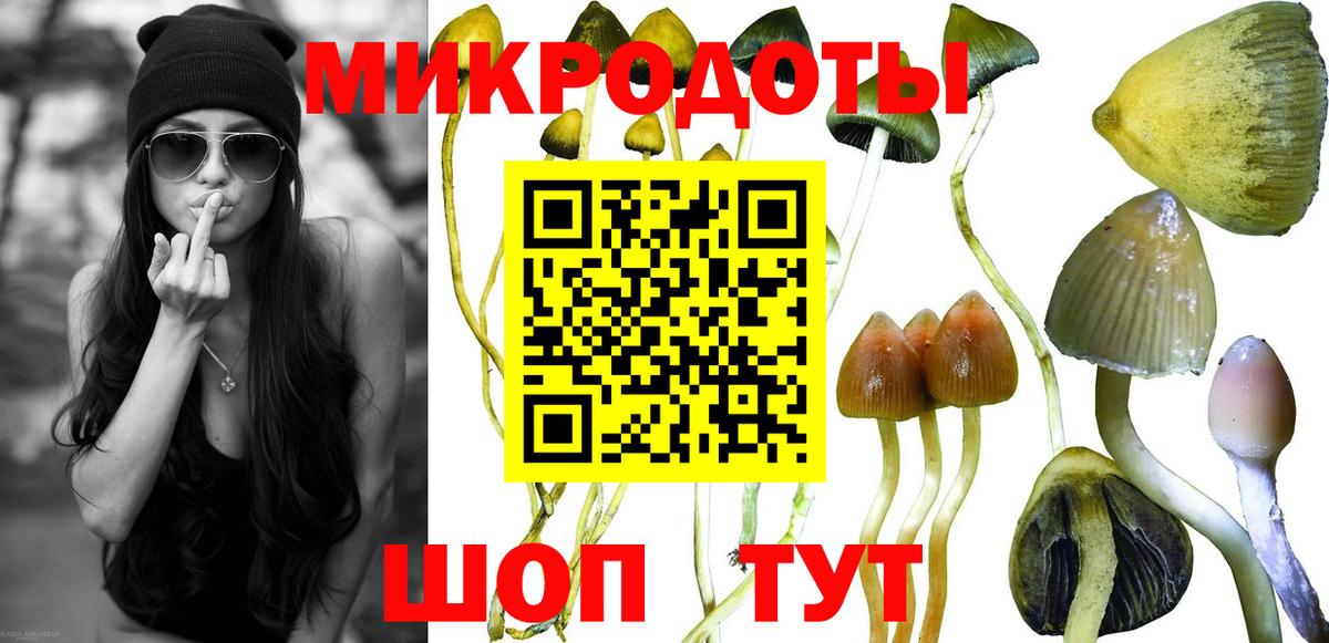 Псилоцибиновые грибы прущие грибы  Вход с VPN  Новосибирск 