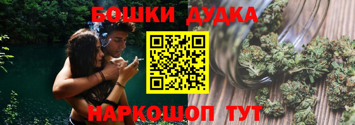 Конопля сатива  Канабис план  Новосибирск  Вход с VPN 